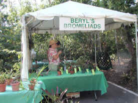 Beryl's Bromeliads Booth