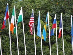 flags