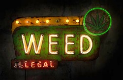 Legalized Weed