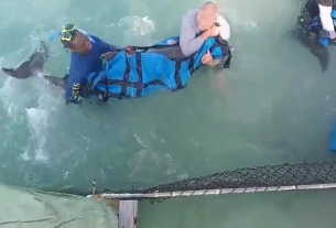 WATCH: Dolphins rescued in The Bahamas
