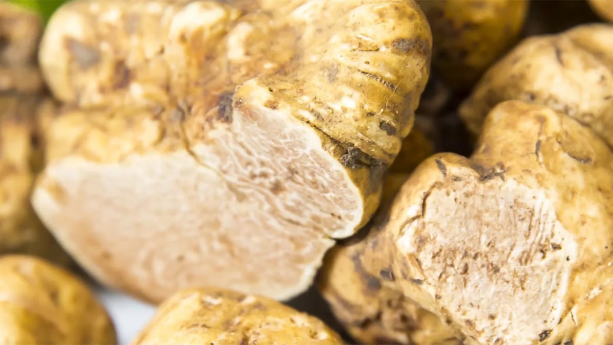 Nassau, The Bahamas Is Hosting the Ultimate Truffle Dinner